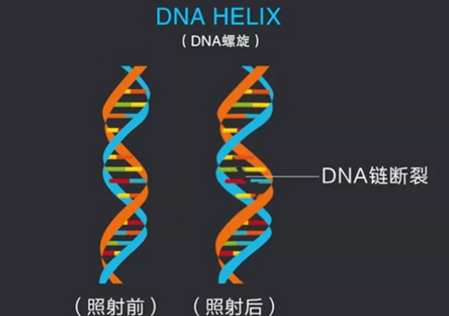 公共场所的空气杀菌必不可少